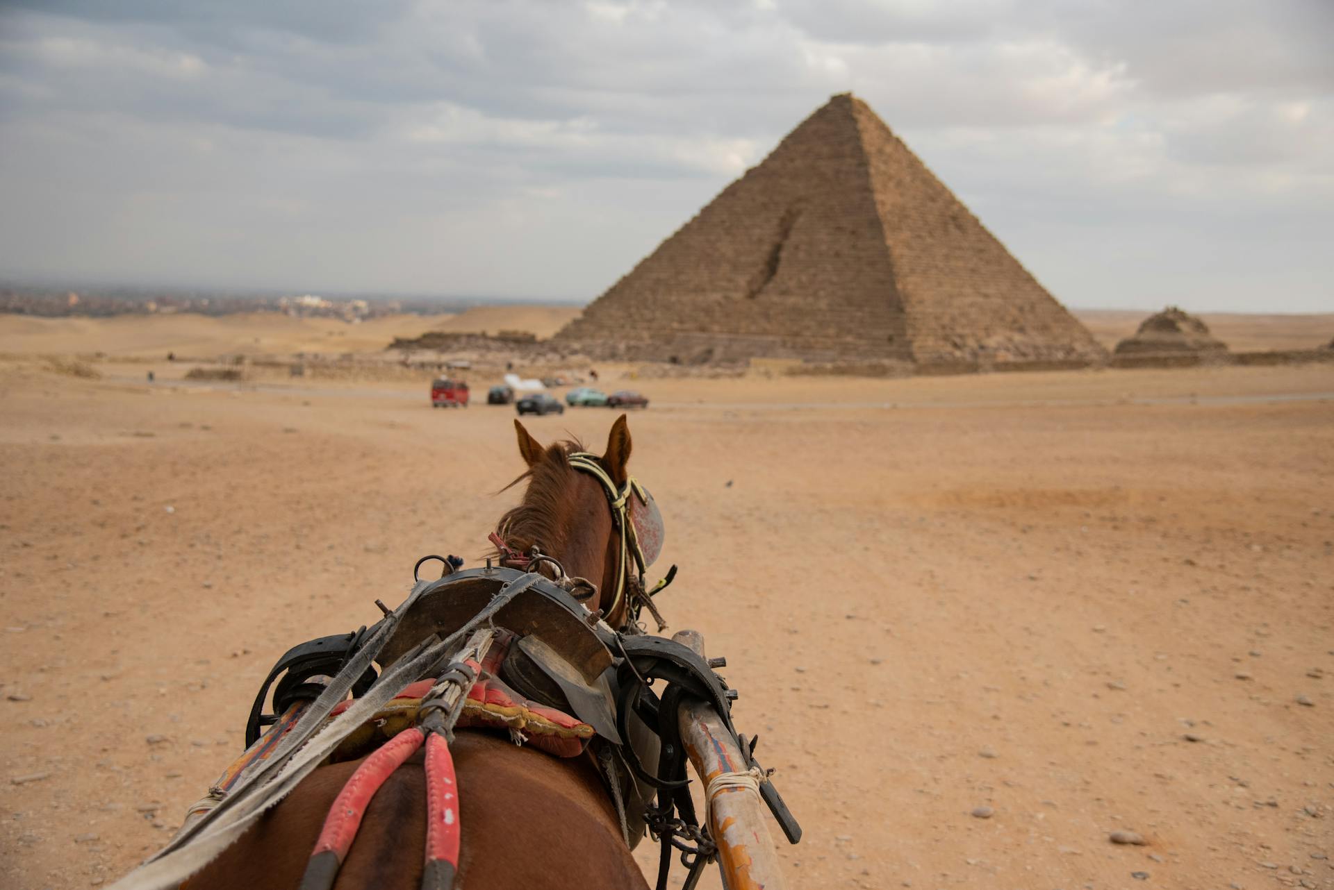 pexels-menna-elshamy-762366066-19310839